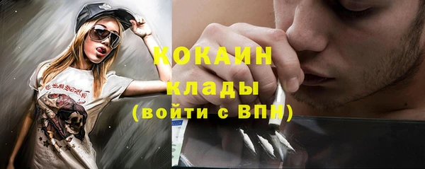 PSILOCYBIN Богородицк