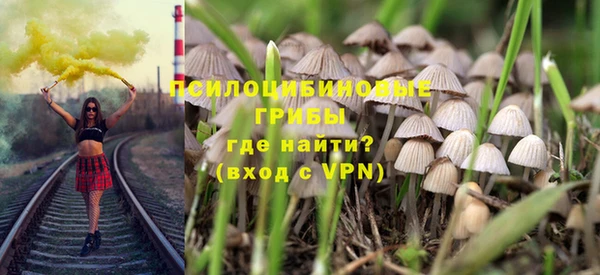 PSILOCYBIN Богородицк