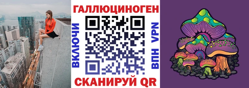 Псилоцибиновые грибы GOLDEN TEACHER  сколько стоит  ОМГ ОМГ tor  Котельнич 